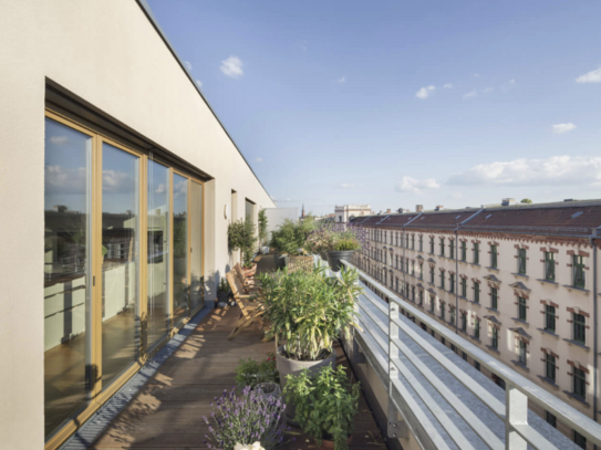 tolle Wohnung mit Terrasse und 3,5 Zimmern