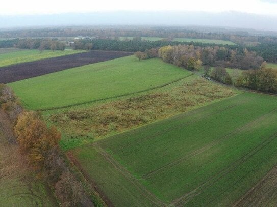 Ackerland in Westerkappeln