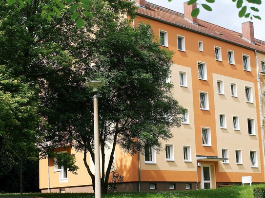 Wohnen im sanierten Altbau in Zeitz - 3-Raum-Wohnung im 3. OG zu vermieten!