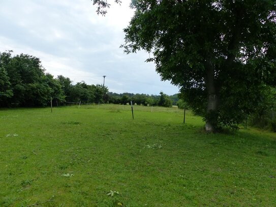 Selbstversorgerhof bei Belgern mit Scheune, Nebengelass und Garten wartet auf kreative Gestalter!