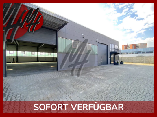 SCHNELL VERFÜGBAR - Lager (500 m²) mit Büro (400 m²) & Freilager (500 m²)