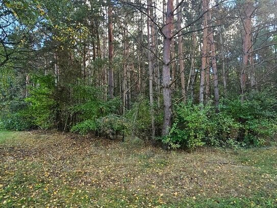 Hauptstadtmakler-Schönes Grundstück in guter Lage