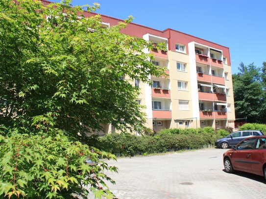 Schicke 2-Raum Wohnung mit Blick auf den Fürst Pückler Park