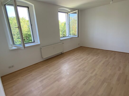 2-Raum Wohnung - Frisch renoviert!