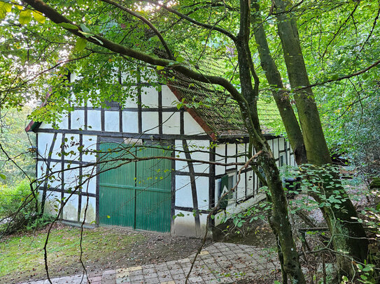 Mitten im Wald bei Ostercappeln: Kleines Haus mit großem Potential! OPEN HOUSE am 23.11. um 11h!