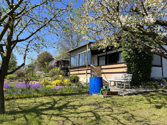 JETZT den SOMMER SICHERN !! traumhafter & liebevoll gepflegter Garten abzugeben