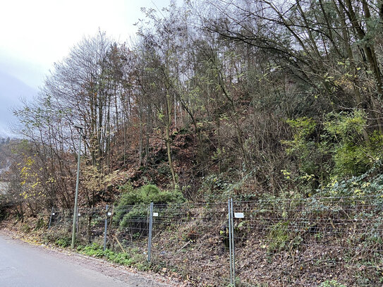 Baugrundstück in ruhiger Ortslage von Bad Dürkheim - Hardenburg