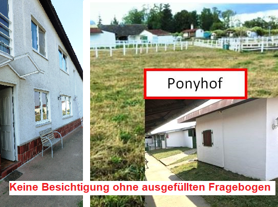 Pony Hof / Gewerberäume(4 Boxen+ Hütte+Lager+Aufenthaltsraum)