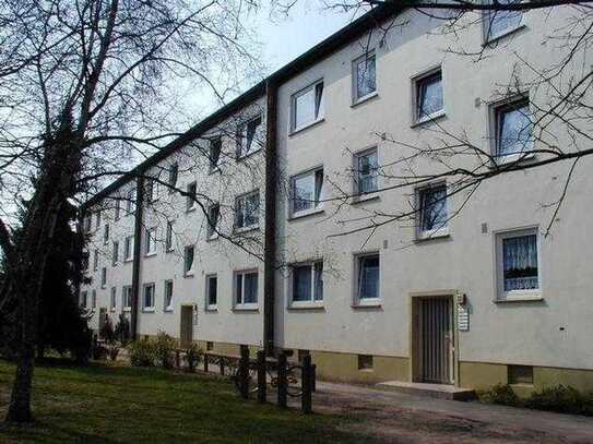 Renovierte Wohnung, Einzug sofort möglich