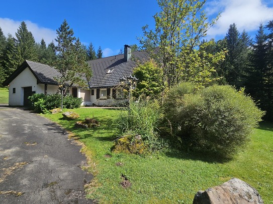 Kniebis / Traum vom Ferienhaus im Schwarzwald genießen Sie die Natur in ihrer schönsten Form