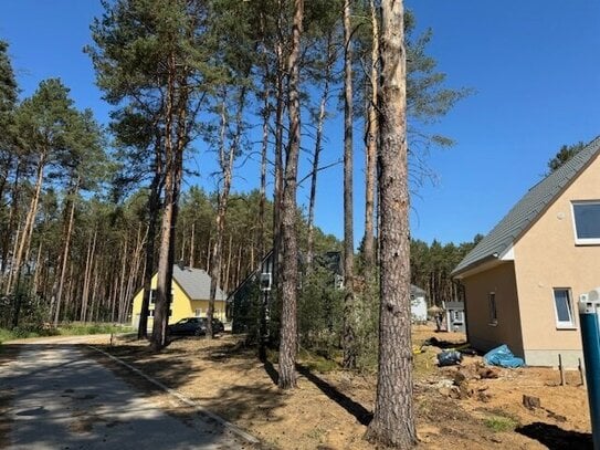 Ihr Bauplatz in Borkwalde mit Bebauungsplan und voll erschlossen - ohne Baubindung