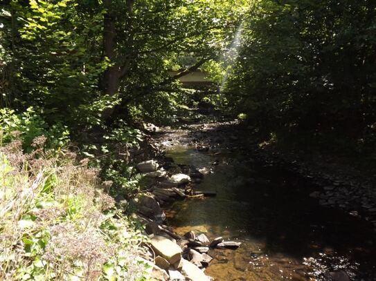 VERÄUSSERT! uriges/stilvolles kleines 1-FH/Ferienhaus in idyllischer und absolut ruhiger Lage, fast direkt am Hevefluss