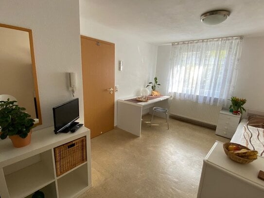 1-Zimmerwohnung mit Internet, Küchenzeile, Du/Wc, TV, Terrasse