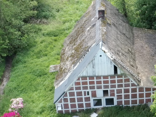 Großes Grundstück mit Altbestand und zahlreichen Möglichkeiten!