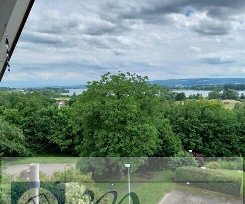 Der Traum vom Wohnen - Mehrgenerationenhaus in TOP-Zustand in Radolfzell, Weinburg zu verkaufen