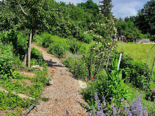 Wunderschöner Anteil eines ehemaligen Bauernhauses mit ca. 12.000 qm Grund