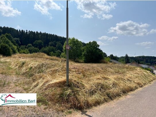 LOSHEIM AM SEE: 11 AR BAUGRUNDSTÜCK IN TOP LAGE !