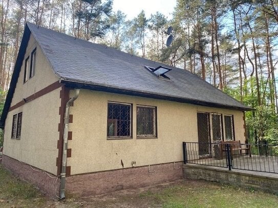 Großes Ferienhaus in ruhiger Waldlage - ideal auch geeignet zur Unterbringung von Monteuren