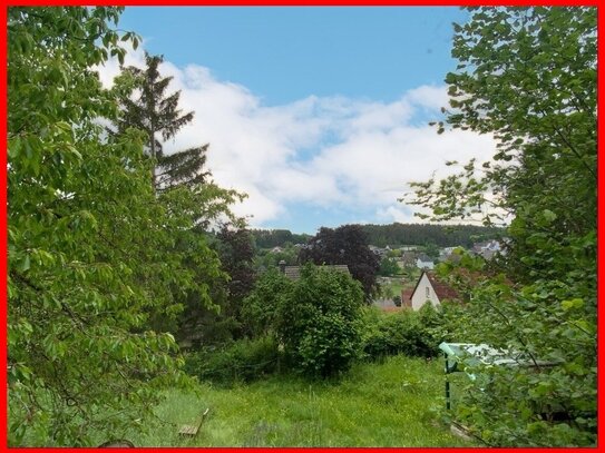 LAGE, LAGE, LAGE - traumhaftes Wohnbaugrundstück mit wunderschöner Aussicht und Fernblick