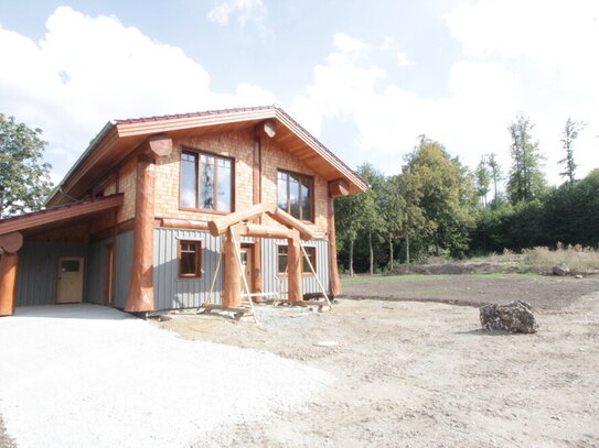 TOP-Ihre Wünsche sind gefragt! Fast fertig, das Einfamilienhaus "Post & Beam" in Darlingerode/Harz!