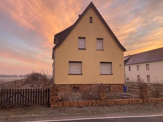 Einfamilienhaus mit großem Grundstück in Wildenhain