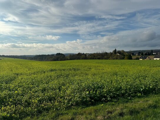 Eckgrundstück Neubaugebiet Auf´m Maarflur Landscheid *provisionsfrei*