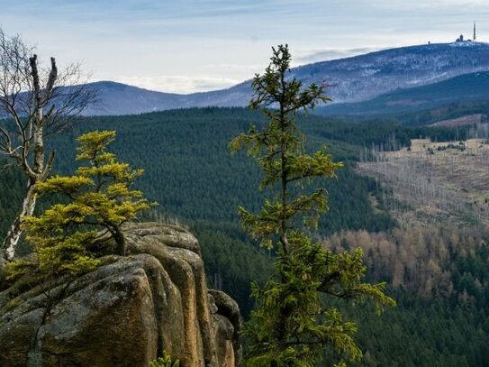 Verkauf: Hotelanlage mit ca.90 Zimmern auf weitläufigem Grundstück (Alleinlage) im Nationalpark Harz!