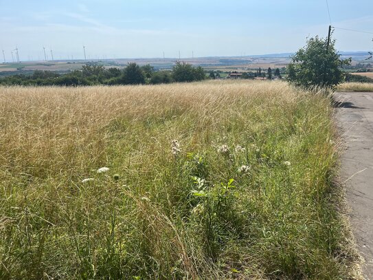 Traumhaftes Grundstück in Südlage mit Fernblick in exponierter Lage von Kirchheimbolanden