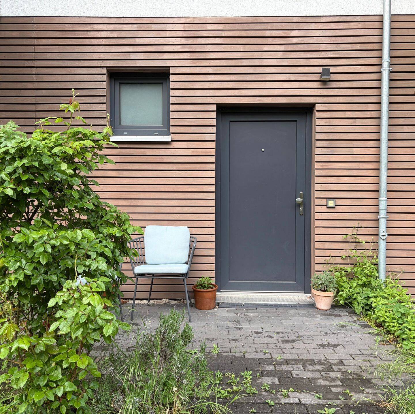 Charmantes 1-Zimmer Neubau-Studio mit eigenem Gartenanteil und Terrasse in gefragter Lage von Berlin - Foto 1