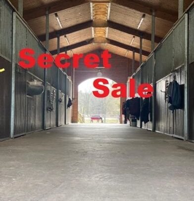 Secret Sale Reitgestüt nördl. von Berlin Top Ausstattung - 26 ha Koppeln