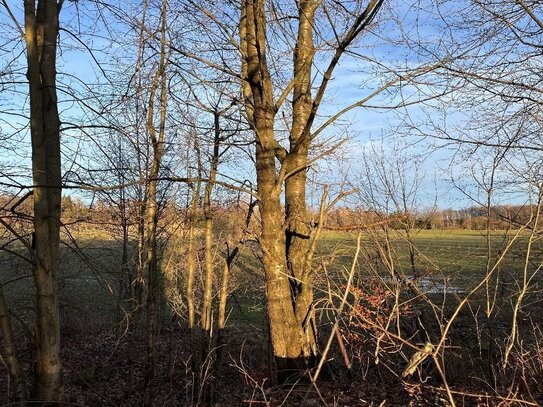 Teilerschlossenes Grundstück in Brand-Erbisdorf mit viel Platz für Familie und Hobby