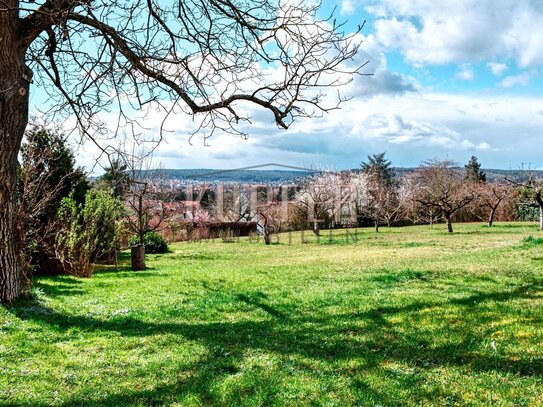 Sonniges Filetgrundstück für Ihr Traumhaus mit herrlichem Fernblick!