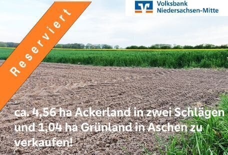 Ackerfläche und Grünland in Aschen zu verkaufen!!!