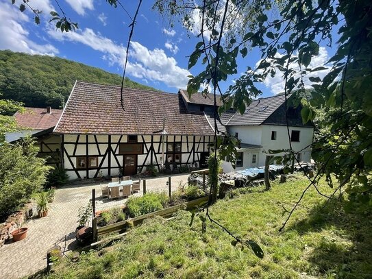 Bauernhaus für Pferde-/Tierhaltung Nähe Kirn und Bad-Sobernheim 1,3 ha (plus weiteres Pachtland möglich)