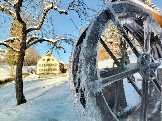 Schwarzwälder Bauernhaus mit großem Grundstück u. Garten im Kleinen Wiesental in Bürchau, bei dem altbekannten Mühlenrad