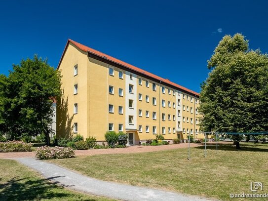 Geräumige 3-Raum-Wohnung mit Balkon - frisch renoviert!