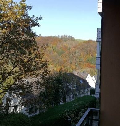 Gepflegte Souterrain-Whg. mit toller Aussicht und Balkon - Privatverkauf