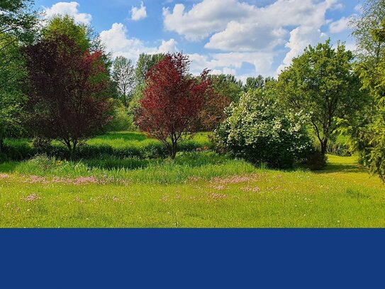 Parkähnliches Grundstück in Top-Lage direkt am Moorwischpark.