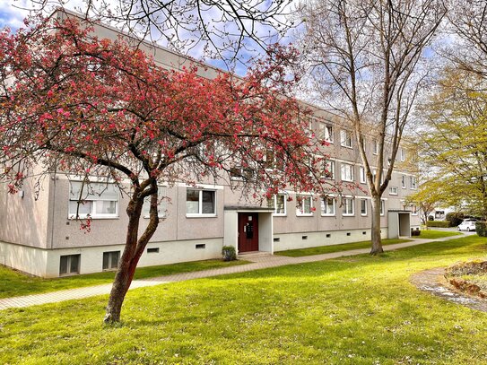 Gemütliche Erdgeschoß 3-Zimmer-Wohnung in Fritzlar