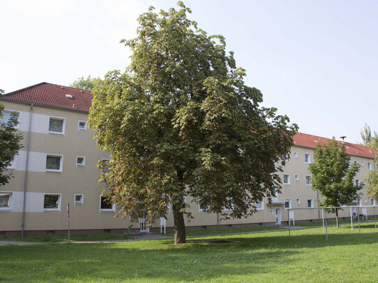 3-Raum-Wohnung mit Dusche und Balkon