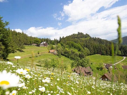 Landluft gewünscht? Bitteschön...Grafenhausen lässt mit einer schicken 3 Zi.-Wohnung grüssen!