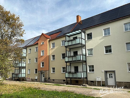 Frisch renovierte und bezugsfertig - helle 3-Raumwohnung mit Balkon