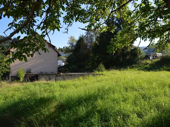 Großes Baugrundstück für EFH oder MFH im Herzen der Natur