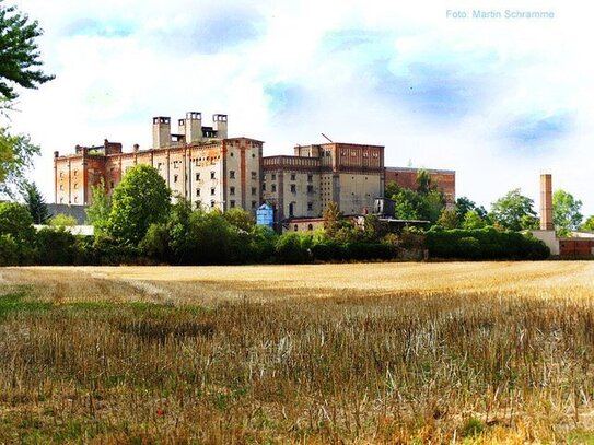 Ca. 18.000 m² großes Grundstück mit Fabrikensemble; Entwicklungspotential vorhanden