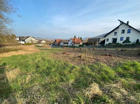 Beverungen - das letzte Baugrundstück am Eisberg in guter Wohngegend