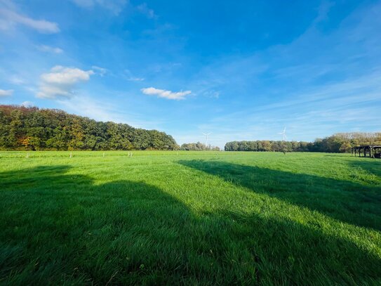 Pferdehaltung und mehr! Großer Landwirtschaftlicher Betrieb mit Zweifamilienhaus, 3,4 ha Eigenland (erweiterbar) u.v.m.!