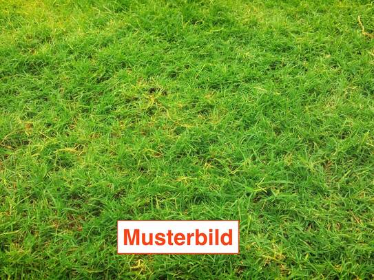 Baugrundstück in Trier - Zewen