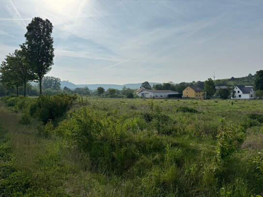 Grundstück in Bovenden unterhalb der Burgruine Plesse