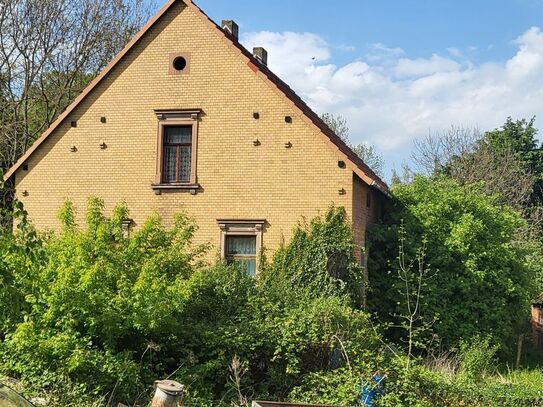 Stark sanierungsbedürftiges Einfamilienhaus mit Grundstück in Deuben (Handwerkerobjekt)