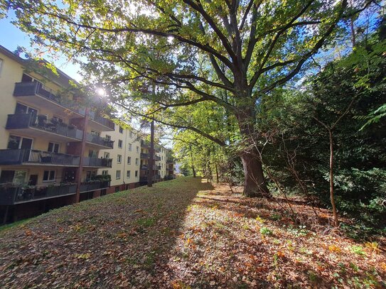 Absolut selten: sanierte Wohnung direkt am Grunewald*Balkon*PKW-Stellplatz*Einbauküche*1. OG